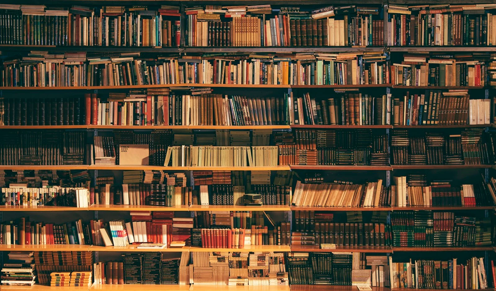 Tall shelves of books in a library